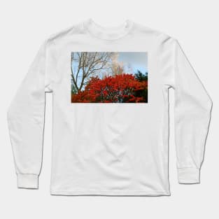 Sumac Long Sleeve T-Shirt